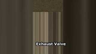 Válvula de exaustão 87618353-0