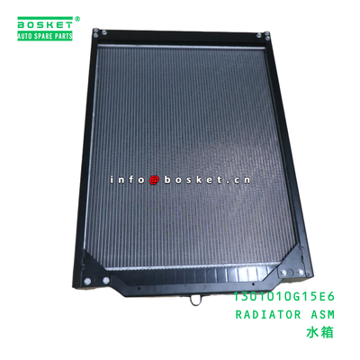 1301010G15E6 Radiator Assembly for JAC N200 with 3 Months Warranty